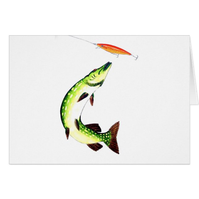 Pike fishing and fly fishing (Vorderseite (Horizontal))