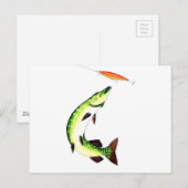 Pike Fishing Postcard Postkarte (Vorne/Hinten)
