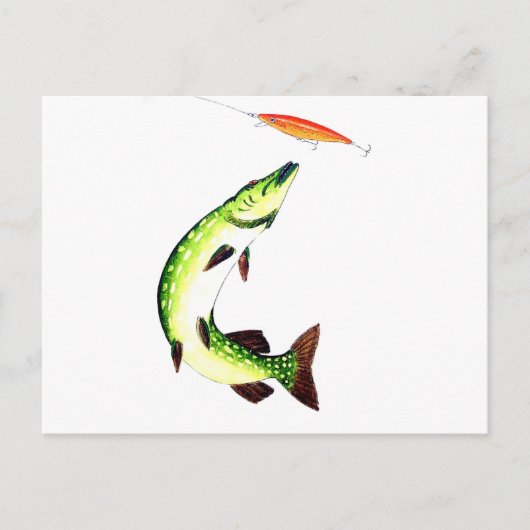 Pike Fishing Postcard Postkarte (Vorderseite)