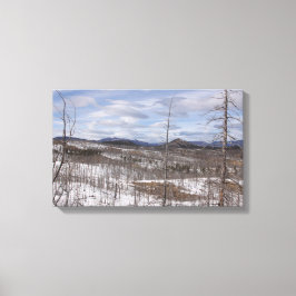 Pike Forest Canvas Print Leinwanddruck