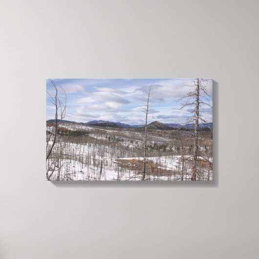 Pike Forest Canvas Print Leinwanddruck (Vorderseite)