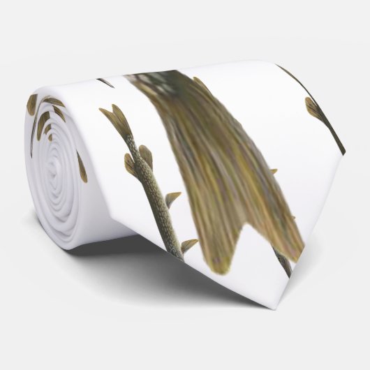 Pike-Krawatte Krawatte (Gerollt)