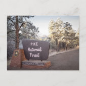 Pike National Forest Colorado Postkarten (Vorderseite)