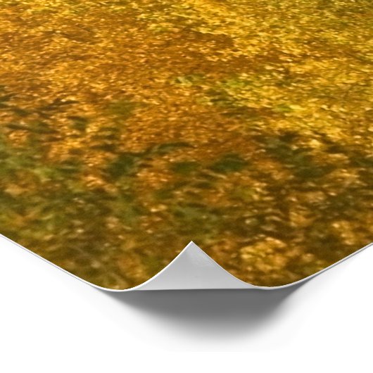 Pikes Peak im Herbst Poster (Ecke)