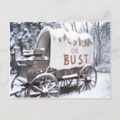 Pikes Peak oder Bust Postkarte (Vorderseite)