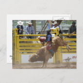 Pikes Peak oder Bust Rodeo Postkarte (Vorne/Hinten)