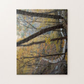 Pikes Peak State Park in McGregor, Iowa. Puzzle (Vertikal)