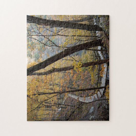 Pikes Peak State Park in McGregor, Iowa. Puzzle (Vertikal)