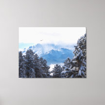 Pikes Peak und ein fliegender Adler nach einem Sch