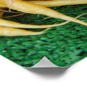 Pikes Place Market, Seattle, Washington, USA Poster (Ecke)