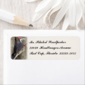 Pilated Woodpecker Custom-Rücksendeadressen-Aufkle (Insitu)