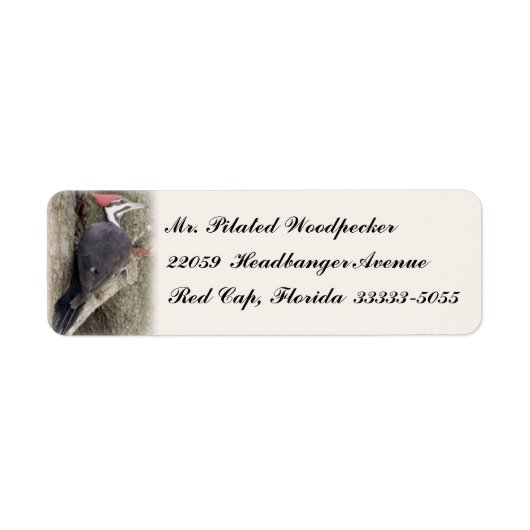 Pilated Woodpecker Custom-Rücksendeadressen-Aufkle (Vorne)