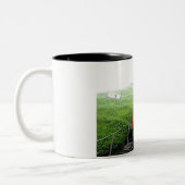 Pilatus-Zahnradbahn in der Schweiz Zweifarbige Tasse (Links)