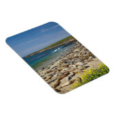 Pile der Elefanten-Siegel Magnet (Rechte Seite)