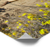 Pile der Elefanten-Siegel Poster (Ecke)