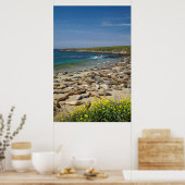 Pile der Elefanten-Siegel Poster (Küche)