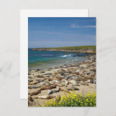 Pile der Elefanten-Siegel Postkarte (Vorne/Hinten)