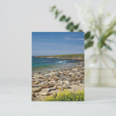 Pile der Elefanten-Siegel Postkarte (Stehend Vorderseite)