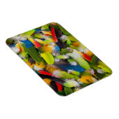 Pile von bunten Federn Magnet (Rechte Seite)