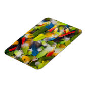 Pile von bunten Federn Magnet (Linke Seite)