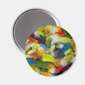Pile von bunten Federn Magnet (Vorderseite/Rückseite)