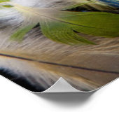 Pile von bunten Federn Poster (Ecke)