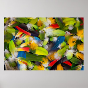 Pile von bunten Federn Poster