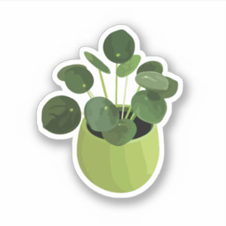 Pilea Peperomioides House Pflanze Sticker