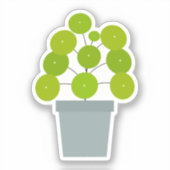 Pilea peperomioides Pflanze, kundenspezifisch gesc Aufkleber (Vorderseite)