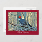 Pileated Specht-frohe Weihnacht-Einzelteile Feiertagspostkarte (Vorne/Hinten)