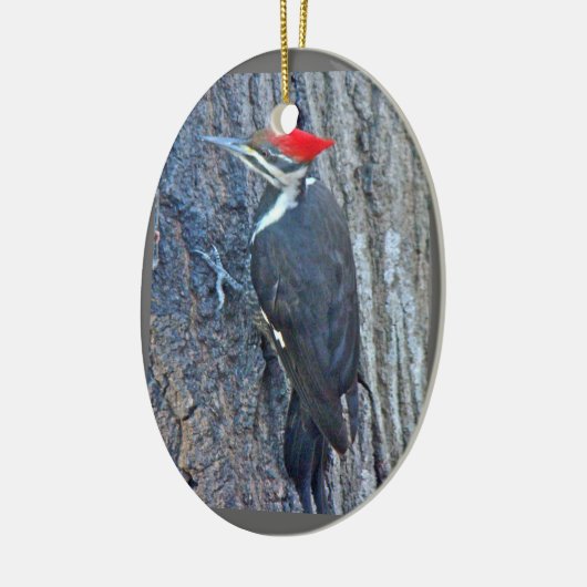 Pileated Specht-frohe Weihnacht-Verzierung Keramik Ornament (Links)