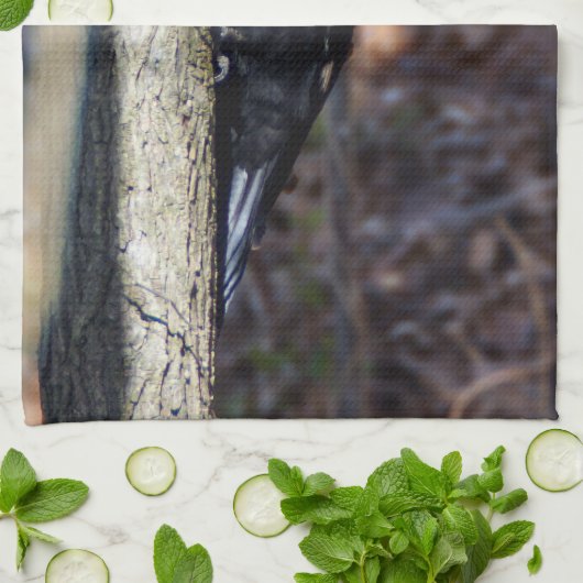 Pileated Specht-Geschirrtuch Geschirrtuch (Gefaltet)