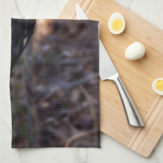 Pileated Specht-Geschirrtuch Geschirrtuch (Viertel Falte)