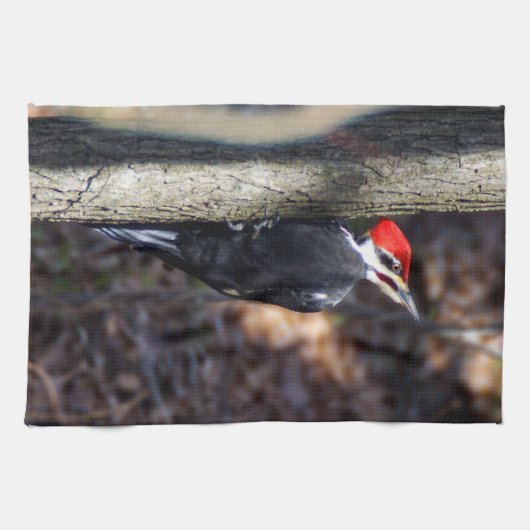 Pileated Specht-Geschirrtuch Geschirrtuch (Horizontal)