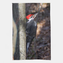 Pileated Specht-Geschirrtuch