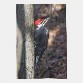 Pileated Specht-Geschirrtuch Geschirrtuch