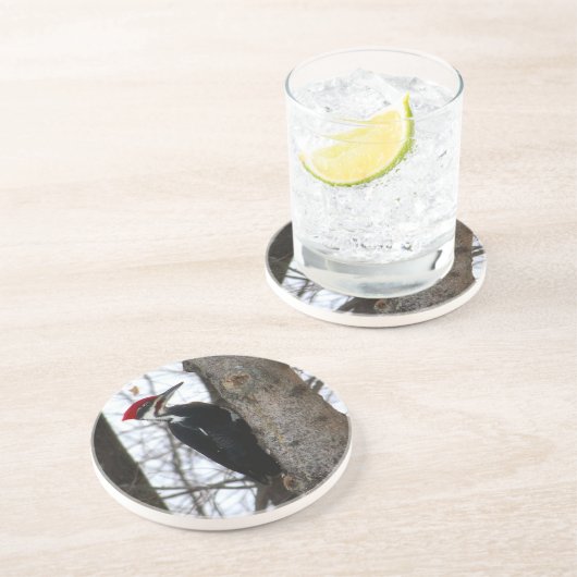 Pileated Specht Getränkeuntersetzer (Seite)