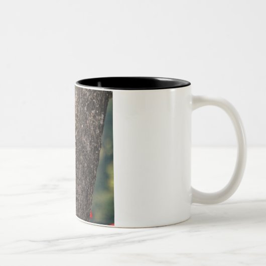 Pileated Specht-Kaffee-Tasse Zweifarbige Tasse (Rechts)