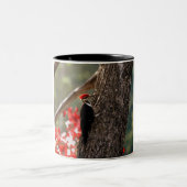Pileated Specht-Kaffee-Tasse Zweifarbige Tasse (Mittel)
