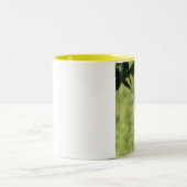 Pileated Specht-Kaffee-Tasse Zweifarbige Tasse (Mittel)