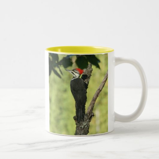 Pileated Specht-Kaffee-Tasse Zweifarbige Tasse (Rechts)