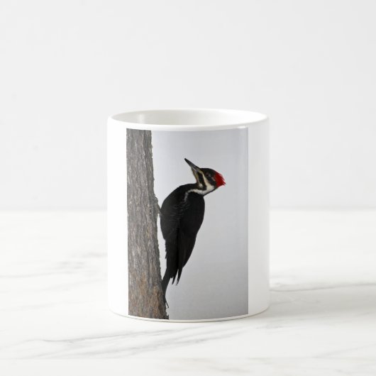 pileated Specht Kaffeetasse (Mittel)