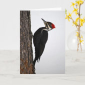 pileated Specht Karte (Gelbe Blume)