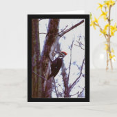Pileated Specht Karte (Gelbe Blume)