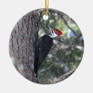 Pileated Specht Keramikornament