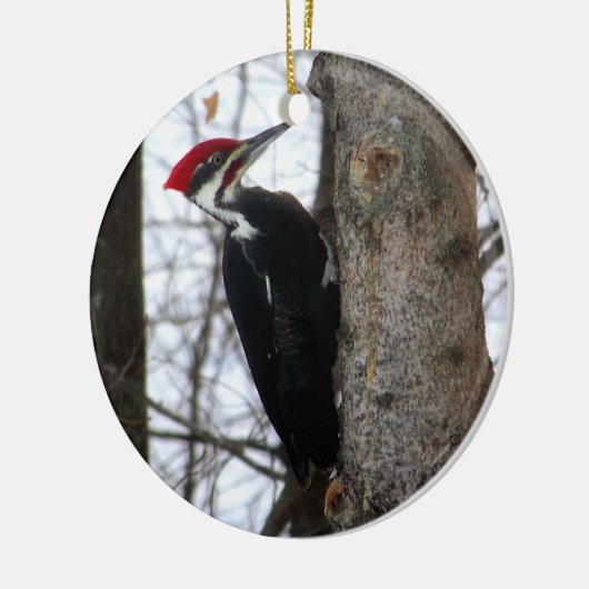 Pileated Specht Keramikornament (Links)
