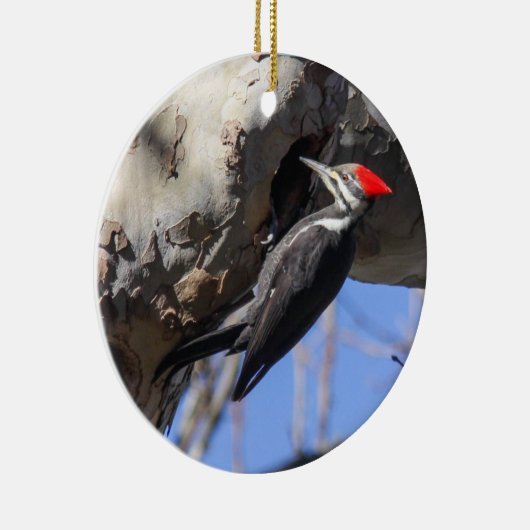 Pileated Specht Keramikornament (Rechts)