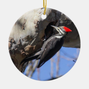 Pileated Specht Keramikornament