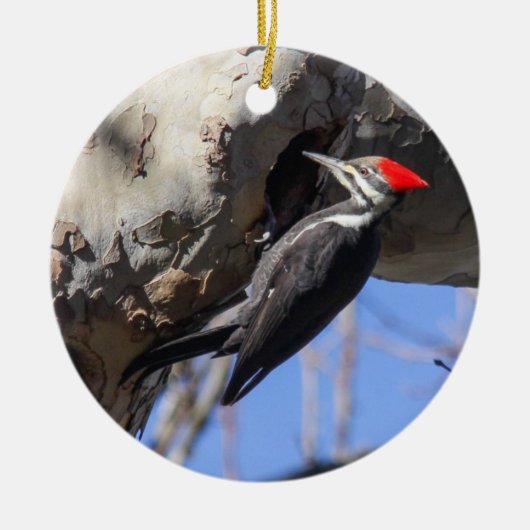 Pileated Specht Keramikornament (Vorne)