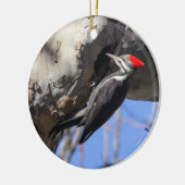 Pileated Specht Keramikornament (Links)